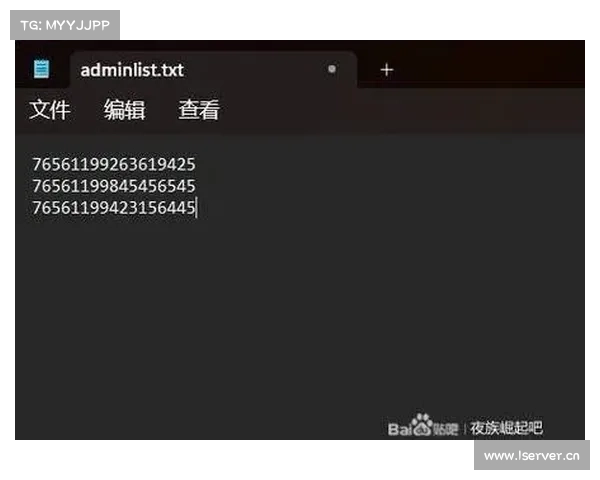玩转崛起修改器全面功能深度解析与实用技巧分享 玩转崛起修改器全面功能深度解析与实用技巧分享