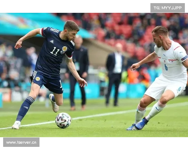 哈谢克深度解析捷克队失利背后原因与未来足球发展的思考