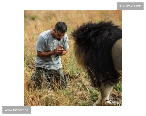 如何评估凯撒酋长能否持续主导南非足球的未来走势